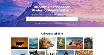 1 Website